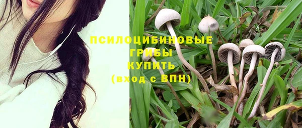 бутират Абаза