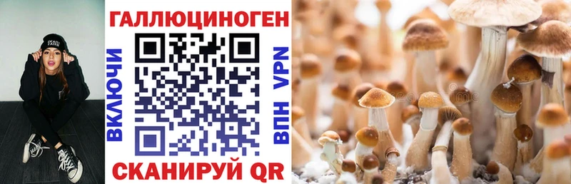 Псилоцибиновые грибы мухоморы  Шарыпово 